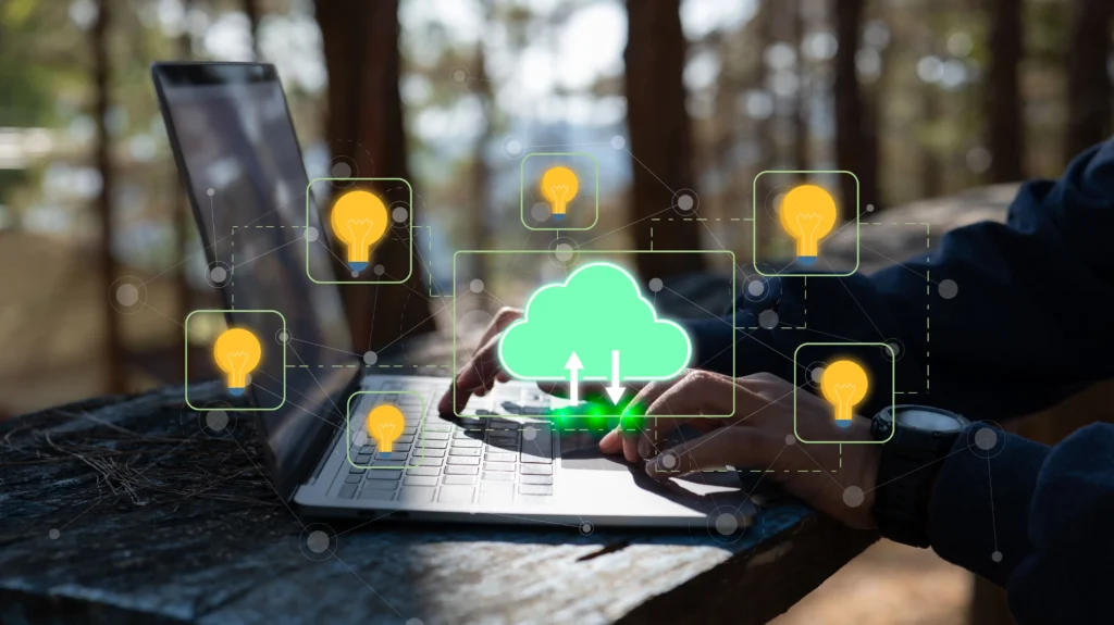 Cloud access permissions and entitlement management